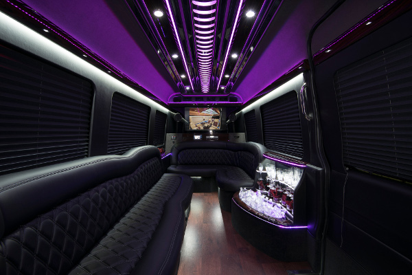 12 Passenger Party Buses Franklin